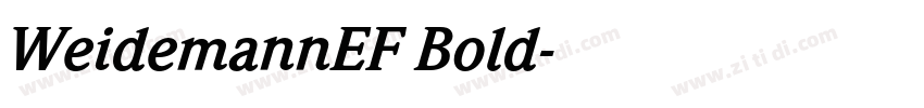 WeidemannEF Bold字体转换